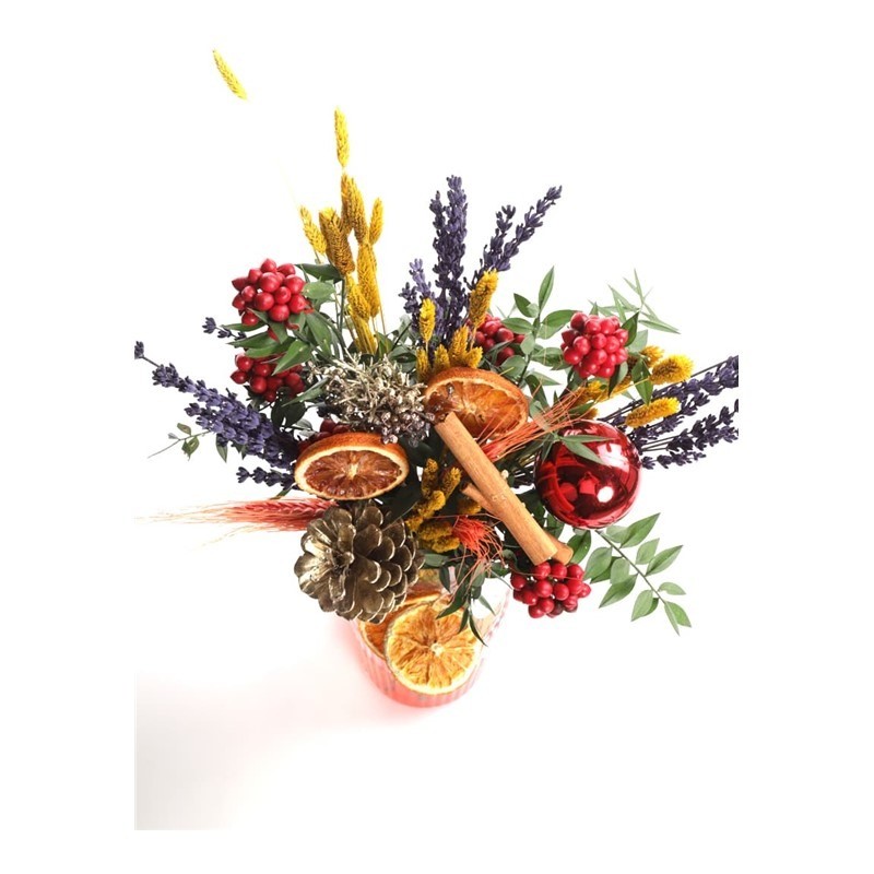 Christmas Star Kokina