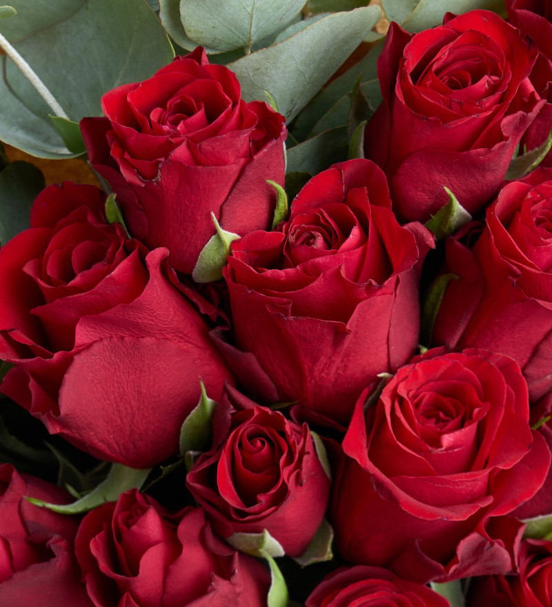 Kraft Buket Kağıdında 20'li Kırmızı Gül Buketi