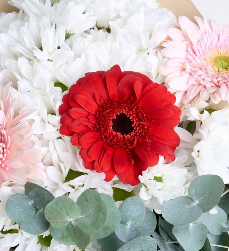 Yeşil Kahve Bukette Papatyalar ve Gerberalar