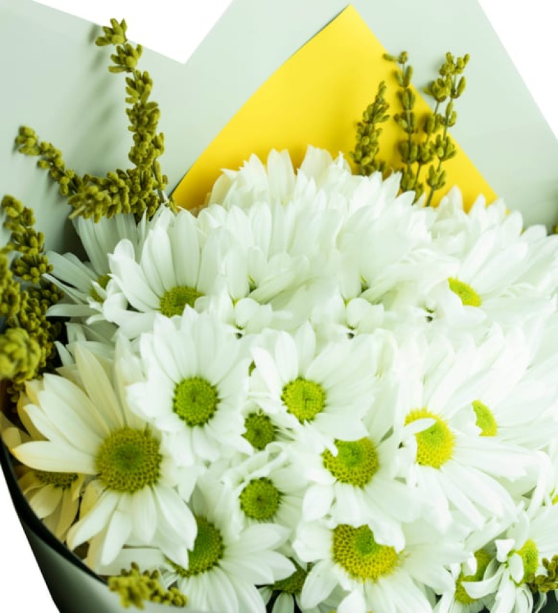 Özel Tasarım Bukette Beyaz Papatyalar