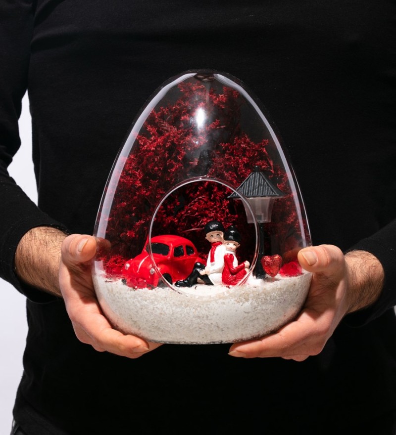 Teraryum Iışıklı Kırmızı Aşk Bahçemiz