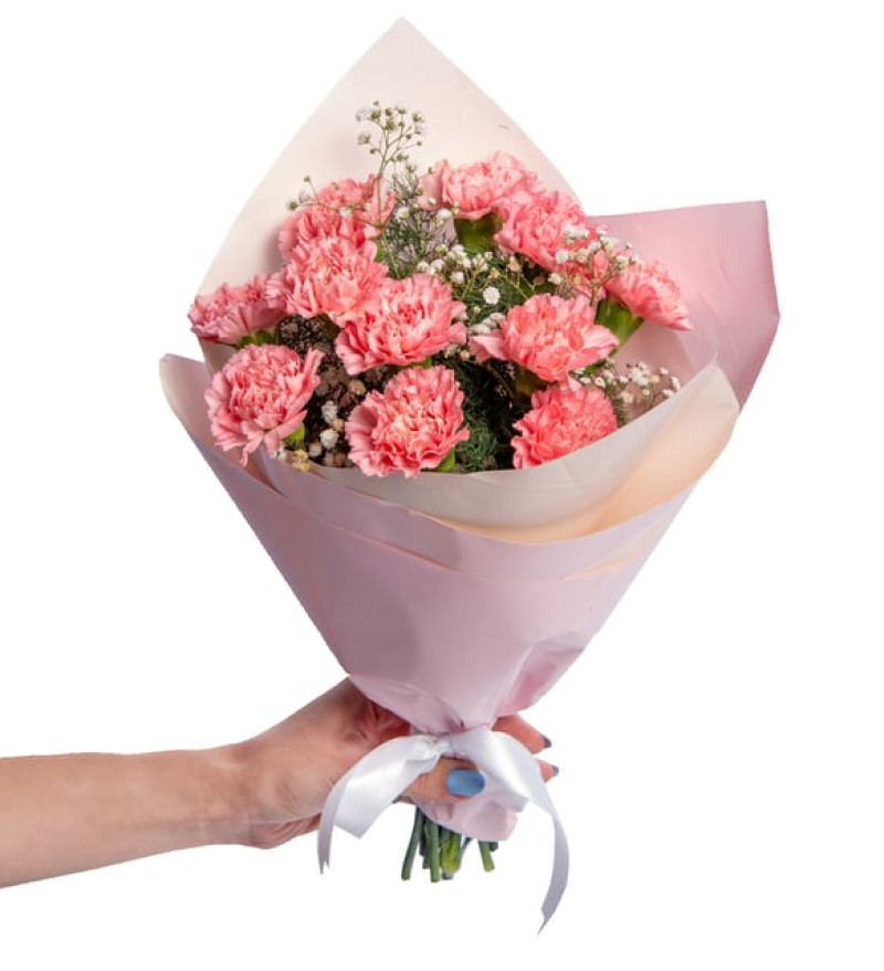 Pudra Bukette Pembe Karanfiller ve Cipsolar